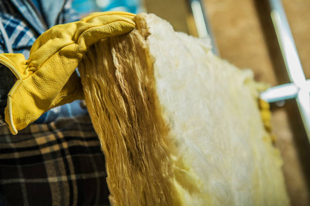 Best Spray Foam Insulation  in Manistique, MI